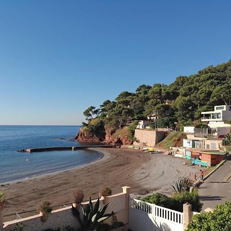 Loft Climatise "La Pinede", 50 M2, Tres Calme, 5 Mn A Pied Des Plages, Lit King Size La Seyne-sur-Mer Exterior foto