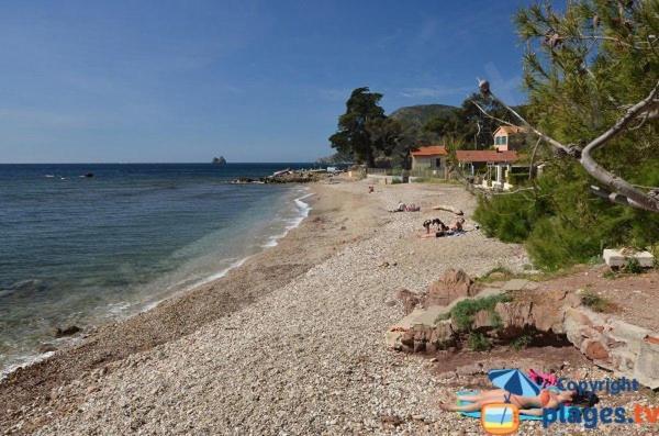 Loft Climatise "La Pinede", 50 M2, Tres Calme, 5 Mn A Pied Des Plages, Lit King Size La Seyne-sur-Mer Exterior foto