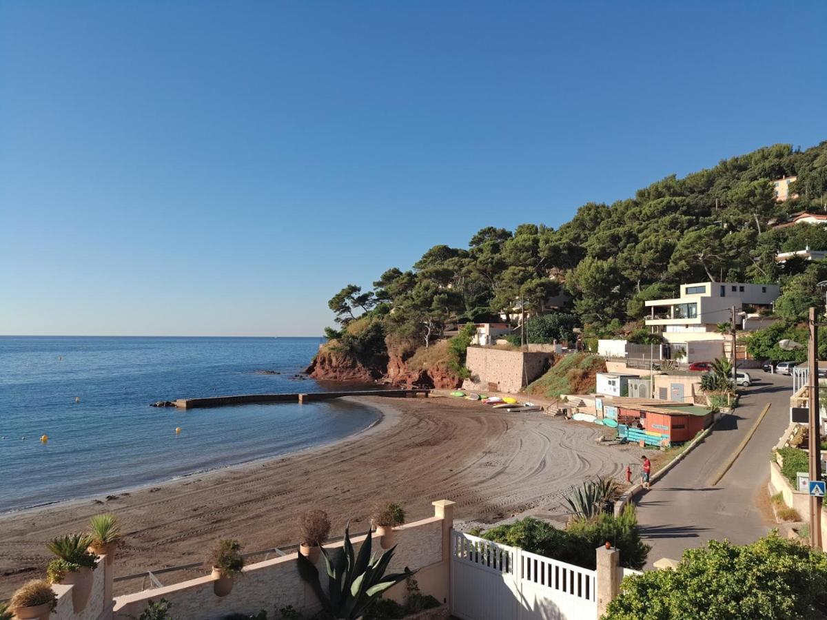 Loft Climatise "La Pinede", 50 M2, Tres Calme, 5 Mn A Pied Des Plages, Lit King Size La Seyne-sur-Mer Exterior foto